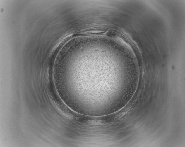 X0000059060250200510171946