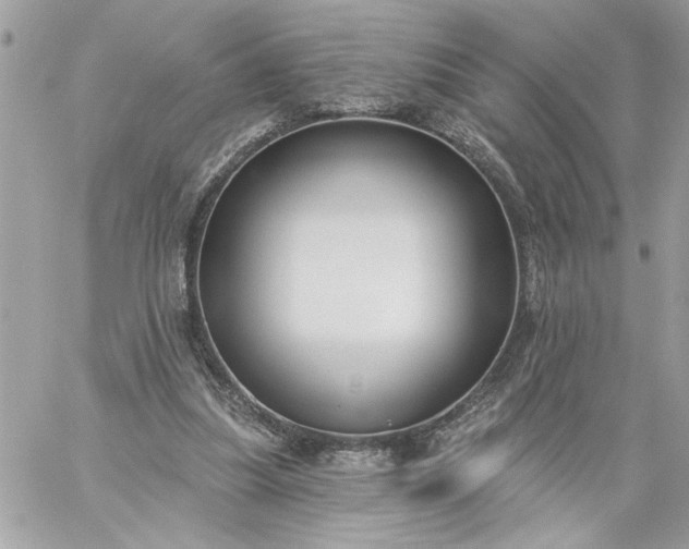 X0000059060251200510171946