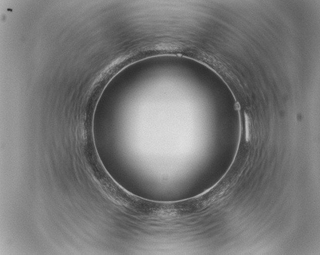 X0000059060252200510171946