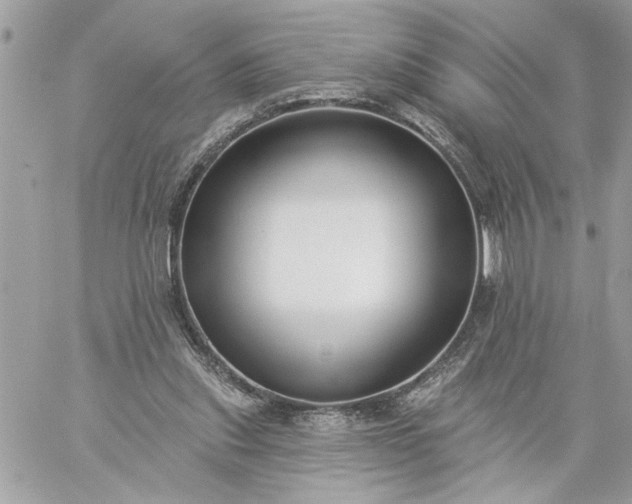 X0000059060253200510171946