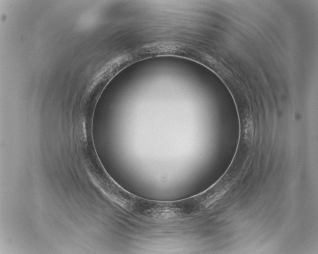 X0000059060254200510171946