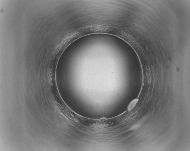 X0000059060255200510171946