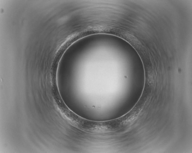 X0000059060256200510171946