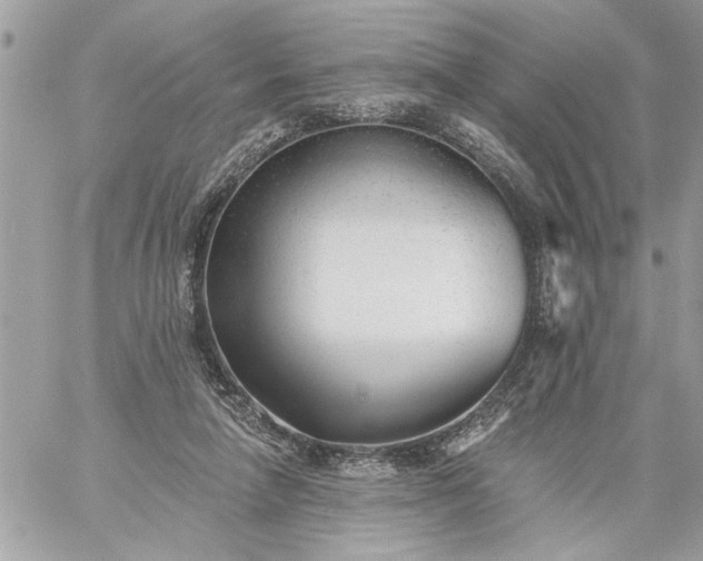 X0000059060258200510171946