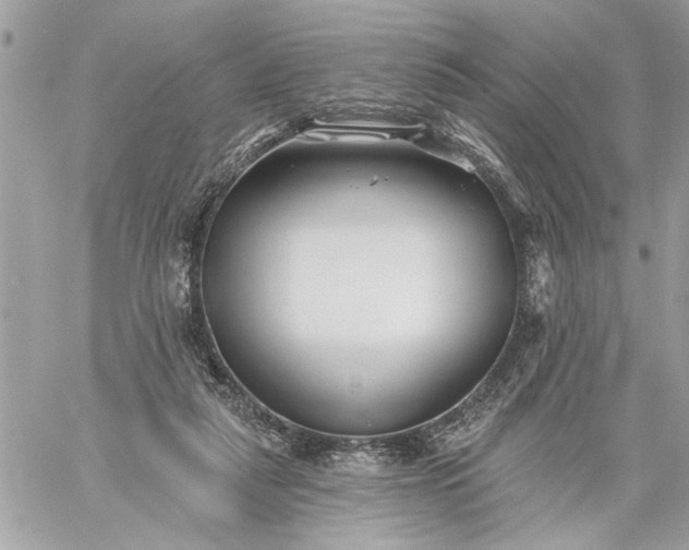 X0000059060259200510171946