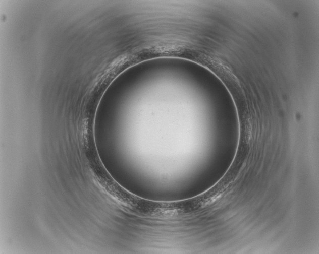 X0000059060260200510171947