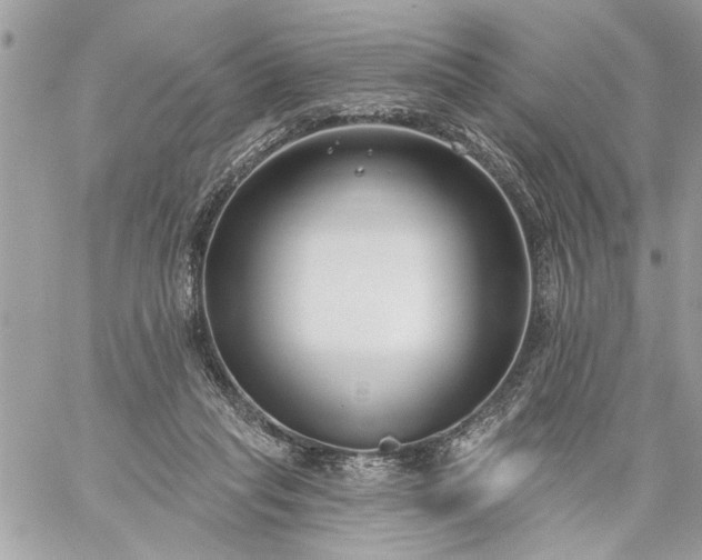 X0000059060261200510171947