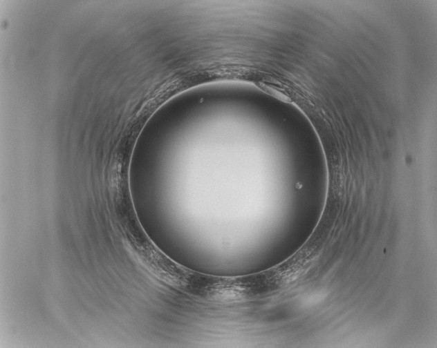 X0000059060263200510171947