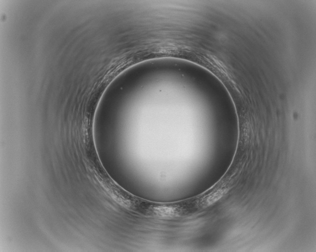 X0000059060265200510171947