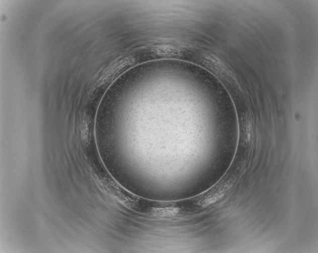 X0000059060266200510171947