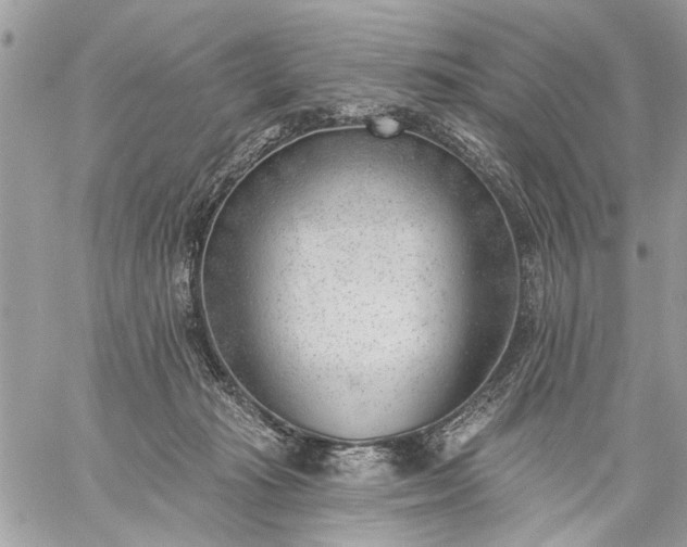 X0000059060269200510171947