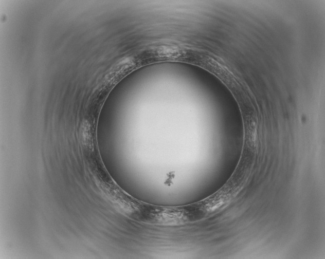 X0000059060270200510171947