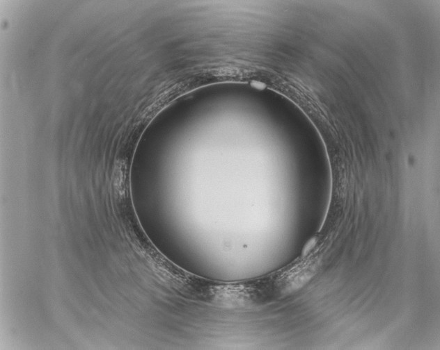 X0000059060273200510171947