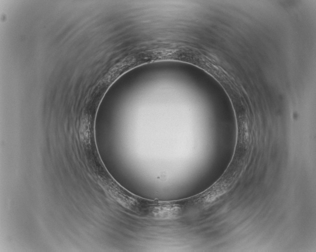 X0000059060274200510171947