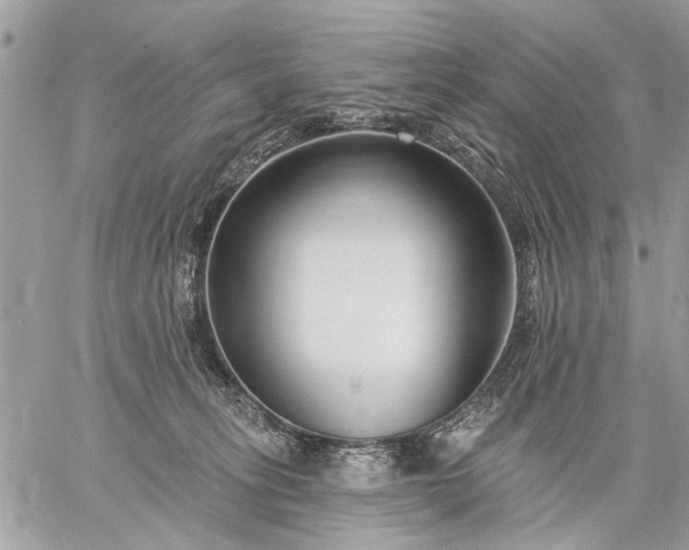 X0000059060275200510171947