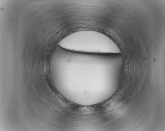 X0000059060277200510171947