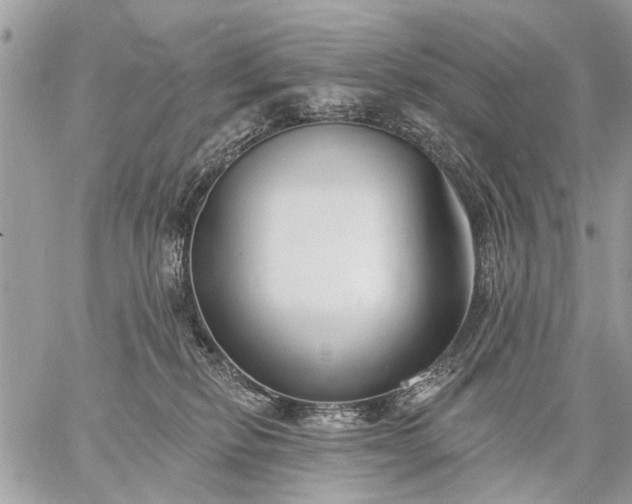 X0000059060278200510171947