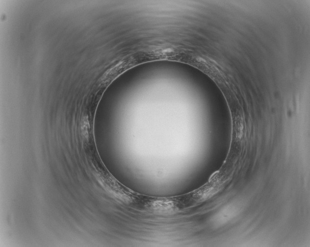 X0000059060279200510171947