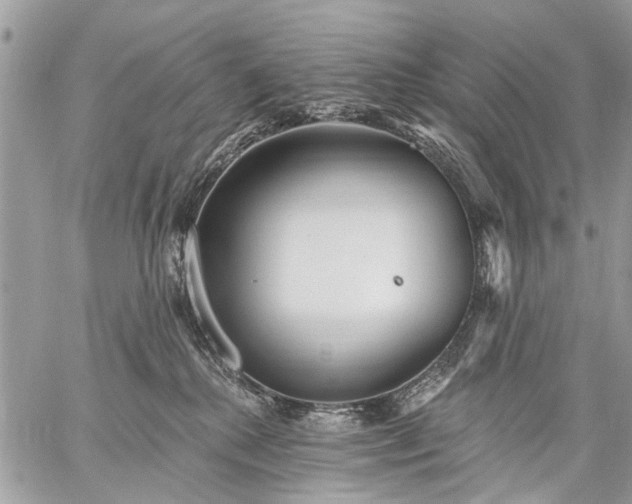 X0000059060280200510171947