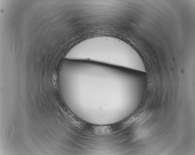 X0000059060281200510171947