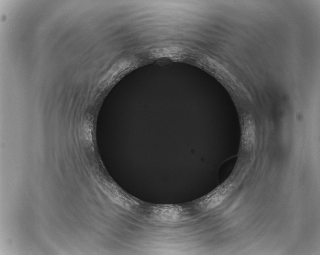 X0000059060282200510171947