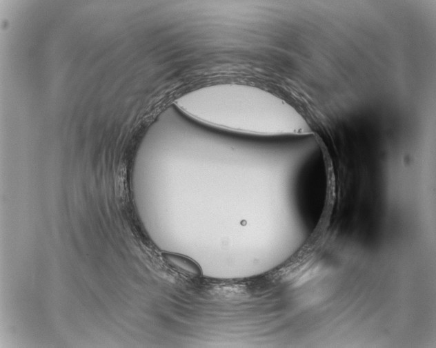 X0000059060283200510171947