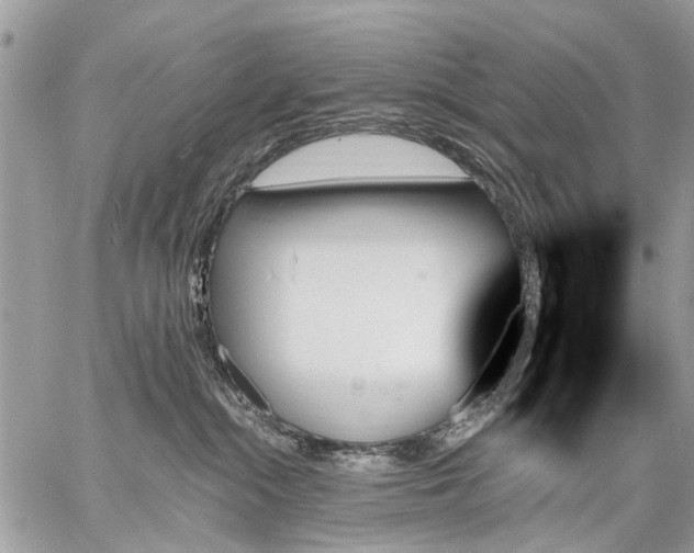 X0000059060284200510171947