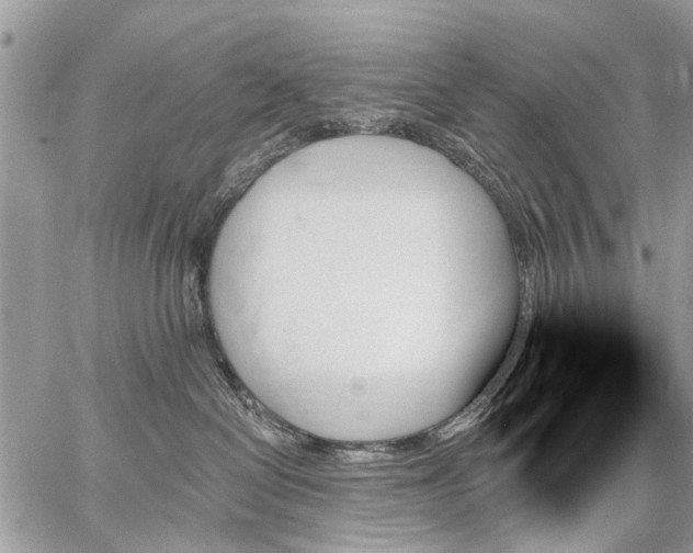 X0000059060286200510171947