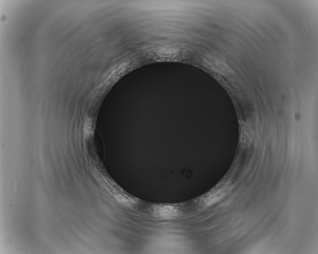 X0000059060287200510171947