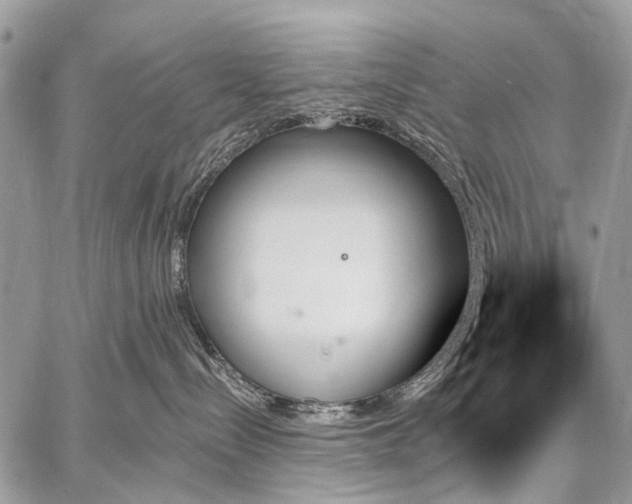 X0000059060288200510171947