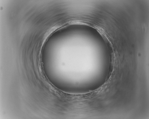 X0000059060289200510171946