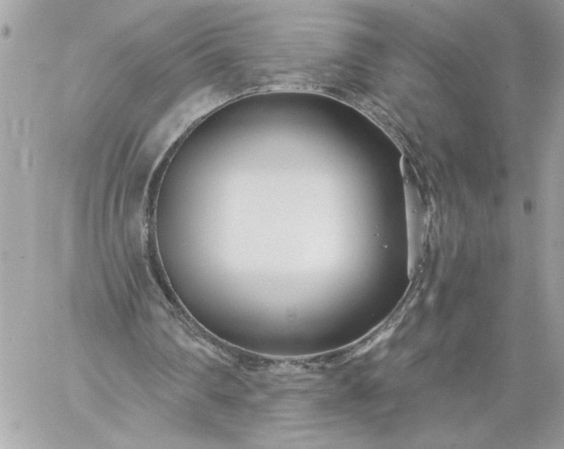 X0000059060290200510171946