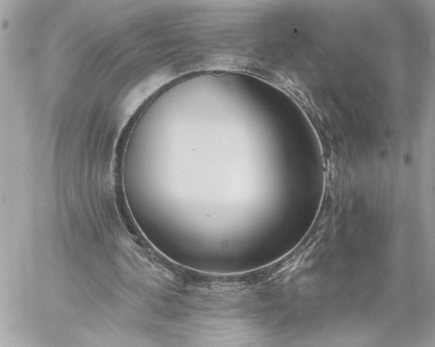 X0000059060292200510171946