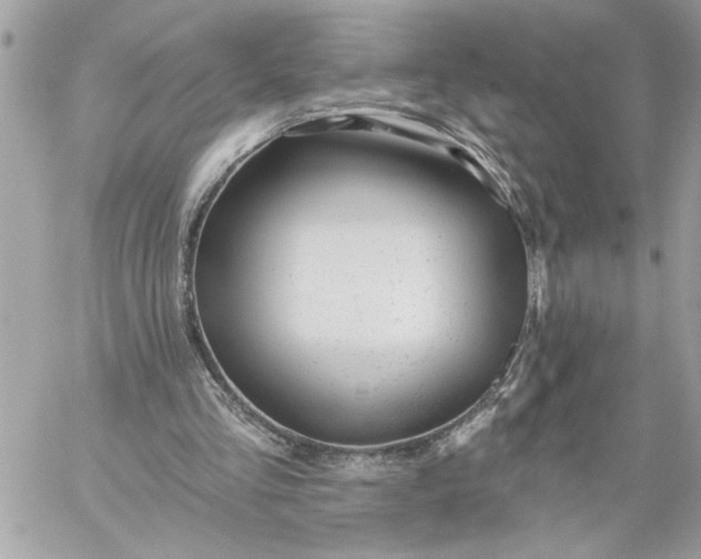 X0000059060293200510171946