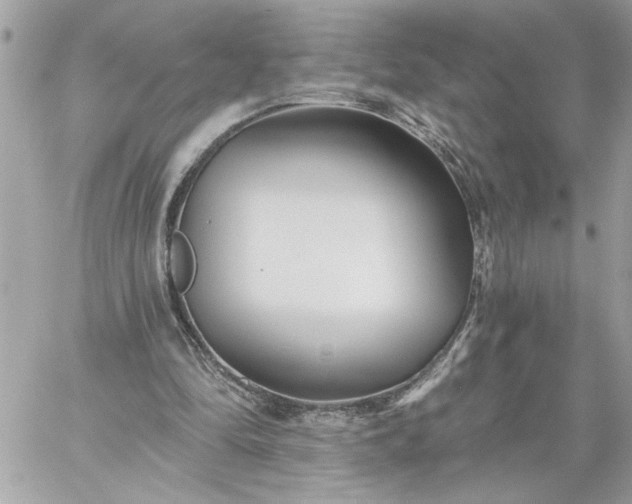 X0000059060294200510171946