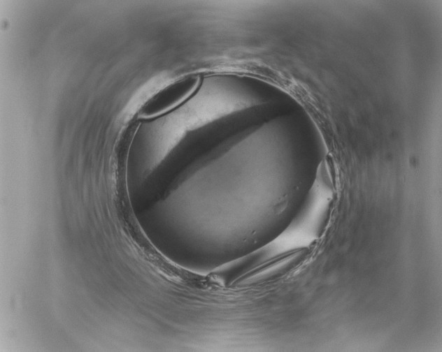 X0000059060295200510171946