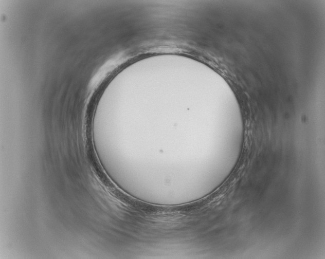 X0000059060296200510171946