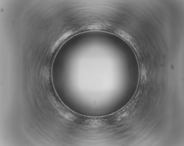 X0000059060297200510171946