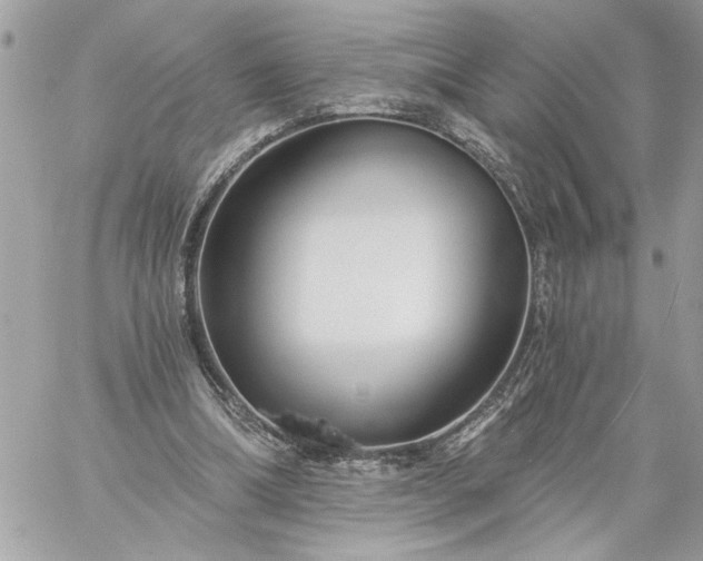 X0000059060298200510171946