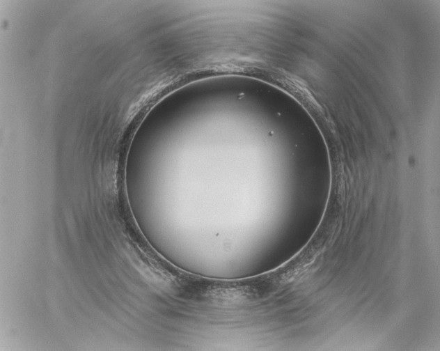 X0000059060299200510171946