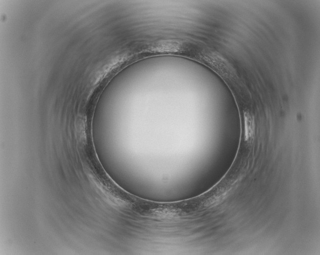 X0000059060300200510171946