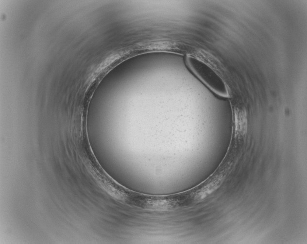 X0000059060301200510171946