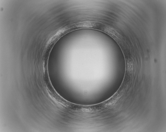 X0000059060302200510171946