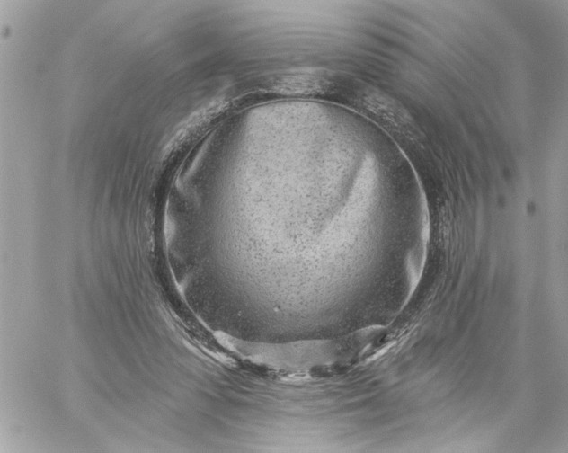 X0000059060303200510171946