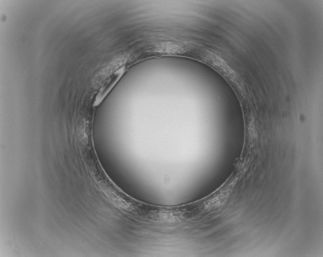 X0000059060305200510171946