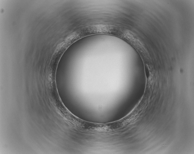 X0000059060306200510171946