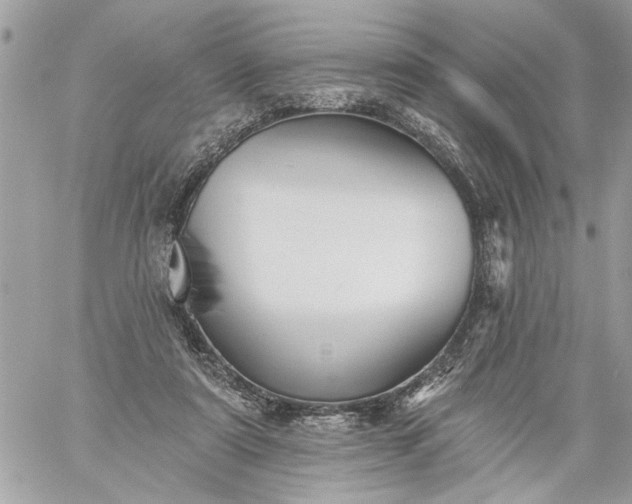 X0000059060307200510171946