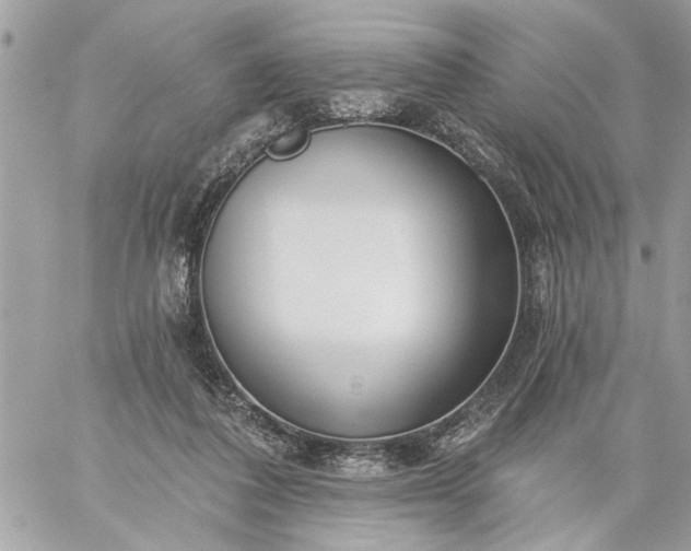 X0000059060308200510171946