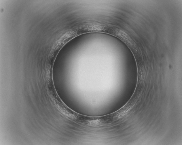 X0000059060309200510171946