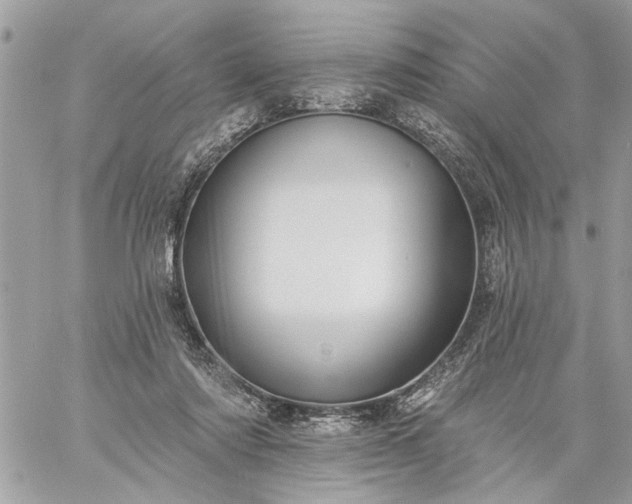 X0000059060310200510171946